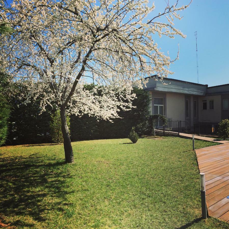 Hotel Villa Cinzia Villanova Mondovì Eksteriør bilde